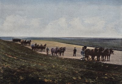 Plowing in the Prairies of Manitoba by European Photographer